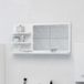 Icecat Miroir mural avec étagères pour la salle de bain