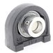 INA PSHE17-XL Wooneenheid Plummer Block