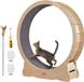 Roulette pour chat Roulette pour chat en contreplaqué de bouleau et de peuplier Roulette pour chat Silencieux Tapis intérieur amovible Roulette pour chat Convient aux chats pesant de 8 kg à 14 kg