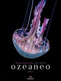 Ozeaneo Kalender 2027 | Geheimnisvolles Meer: Bildstarker Unterwasser-Kalender im großen Hochformat (50x66 cm) | Mit wissenschaftlichen Informationen