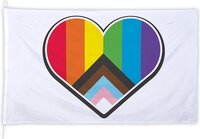 Boland - Reuzenvlag Progress - Regenboog - 35 x 29 cm - Pride - Themafeest