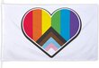 Boland - Reuzenvlag Progress - Regenboog - 35 x 29 cm - Pride - Themafeest