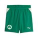 PUMA Short 26/27 Greuther Fürth Enfant et Adolescent, Vêtements, Vert, 9-10Y