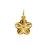 Lucardi - Dames Stalen goldplated bedel bloem - Hanger - Staal - Goudkleurig