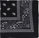 Henbrandt Bandana - zwart - boeren zakdoek - dames/heren - vierkant - cowboy verkleedkleding