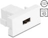 Delock USB 2.0 Type-A female to EASY-USB Type-A female white Converter