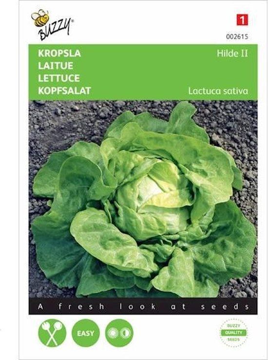 Buzzy Zaden - Kropsla Hilde - Lactuca sativa