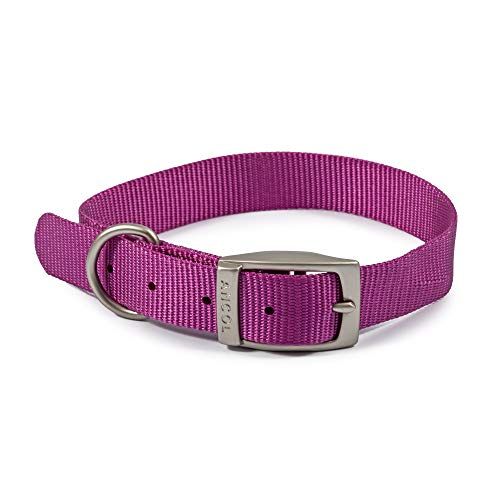 Ancol Viva Lightweight Buckle Collar Purple, Collar Size 4 for 35-43cm, Weatherproof