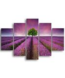 Homemania Afbeelding violet-5 natuur en landschappen voor woonkamer, meerkleurig, 95 x 0,3 x 60 cm, HM205MDF025, MDF