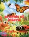 50 kinds of insects coloring book: Awesome 50 kinds of insects coloring book kids 6-12