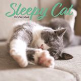 Magnet & Steel Sleepy Cat Kalender 2025 Wandkalender