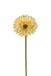 Louis Maes Gerberasteel l58 cm geel kunstbloem zijde nepbloem
