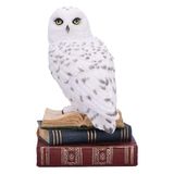 Nemesis Now Bibliotheek van wijsheid beeldje 17cm, hars, wit, witte uil op boeken ornament, fantasie boeken plank display stuk, gegoten in de fijnste hars, vakkundig handgeschilderd