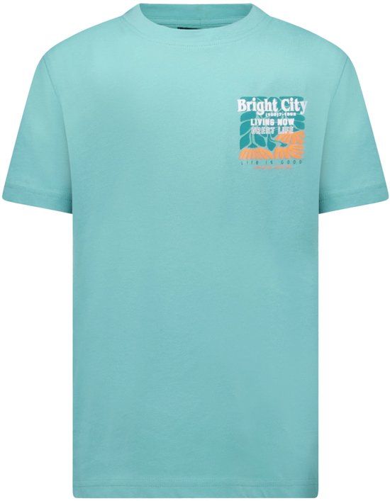 Cars Jeans T-shirt Ritzo jr. Jongens Maat 152 Katoen Mint
