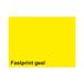 Fastprint Papier A4 120gr FP Geel 250 vel