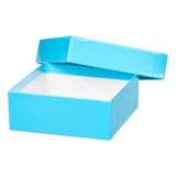 Thermo Scientific opbergdozen