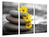 MULTI Houten Afdrukken Art Print Box Ingelijste Beeld Wandopknoping - Landschap Zen, Ontspanning, Stenen en Bloemen