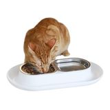 Hepper NomNom - morsbestendige verhoogde kattenbak voor voedsel en water - Whisker Relief Kattenbak + verhoogde kattenvoerbak: een veilig kattengerecht voor rommelige katten - roestvrijstalen