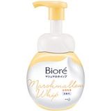 Kao Biore Facial Wash Foaming Rich - 160ml