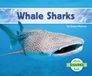 Whale Abdo Kids Jumbo Sharks - Whale Sharks