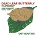 Sonic Rendezvous Dead Leaf Butterfly - Ontmoeting (CD)