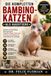 DIE KOMPLETTEN BAMBINO-KATZEN ALS HAUSTIERE