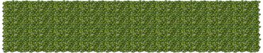 vidaXL Balkonscherm met bladeren groen en geel 500 x 100 cm