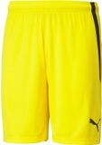 Puma Teamliga Short Heren - Geel | Maat: XL