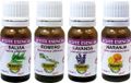 Herdibel Huile Essentielle Menthe 10ml
