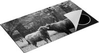 Chefcare Inductie Beschermer Twee Schotse Hooglanders - Zwart Wit - 95x55 cm