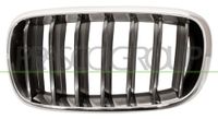 PRASCO BM8262004 frontgrillspoiler