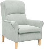 vidaXL Fauteuil Lichtgrijs Fluweel
