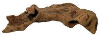 Lucky Reptile OW-M Opuwa Medium Hout Medium