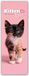 Kitten Gifted Stationery Kitten Love - Geliebte Kätzchen - Slimline-Kalender 2027