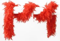 Wilbers & Wilbers Boa Rood - 65 Gr - 180 Cm - Veren