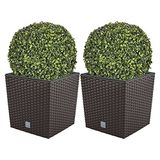WellHome Dubbelpak bloempot Rato 32 liter met plantenbak in chocolade 33 x 33 x 33 cm + buxusbal Ø 36 cm