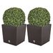 WellHome Dubbelpak bloempot Rato 32 liter met plantenbak in chocolade 33 x 33 x 33 cm + buxusbal Ø 36 cm