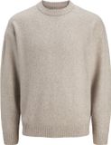 JACK&JONES ESSENTIALS - JJESOHO OLLIE KNIT CREW NECK SN Heren Trui
