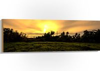 Merkloos / Sans marque Foto op Hout - Grasveld voor Zon verdwijnend achter Palmbomen - 120x40 cm - 9 mm dik