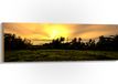 Photo sur bois - Champ d'herbe devant le soleil disparaissant derrière les palmiers - 120x40 cm - 9 mm d'épaisseur