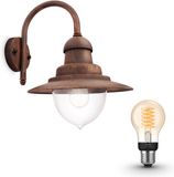 Philips Hue Raindrop Wandlamp voor Buiten (Koper)