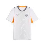 PUMA IJsland 2026 uitshirt, Grijs/Wit, Maat 15-16Y