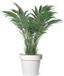 Mega Collections Pot de fleurs - Plastique - Blanc - Extérieur - D35 x H31 cm