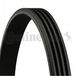 Continental Courroie Trapézoïdale À Nervures 4pk1511 Ford 1059982 6146320