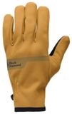 Black Diamond Everyday Softshell Handschoenen Geel XS