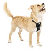 Kurgo Tru-Fit Hondentuig met verbeterde sterkte, getest autoveiligheidsharnas voor honden, anti-trek hondenharnas, inclusief veiligheidsgordel voor huisdieren (zwart, X-Small)