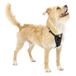 Kurgo Tru-Fit Hondentuig met verbeterde sterkte, getest autoveiligheidsharnas voor honden, anti-trek hondenharnas, inclusief veiligheidsgordel voor huisdieren (zwart, X-Small)