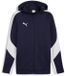 Puma TeamEVOSTRIPE Hooded Jacket 659947