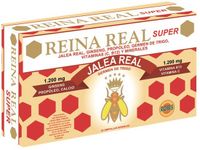 Robis Reina Real Super 20 Amp