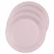 Santex Feest Gebak/Taart Bordjes - Lichtroze - 30 stuks - Karton - 17 cm